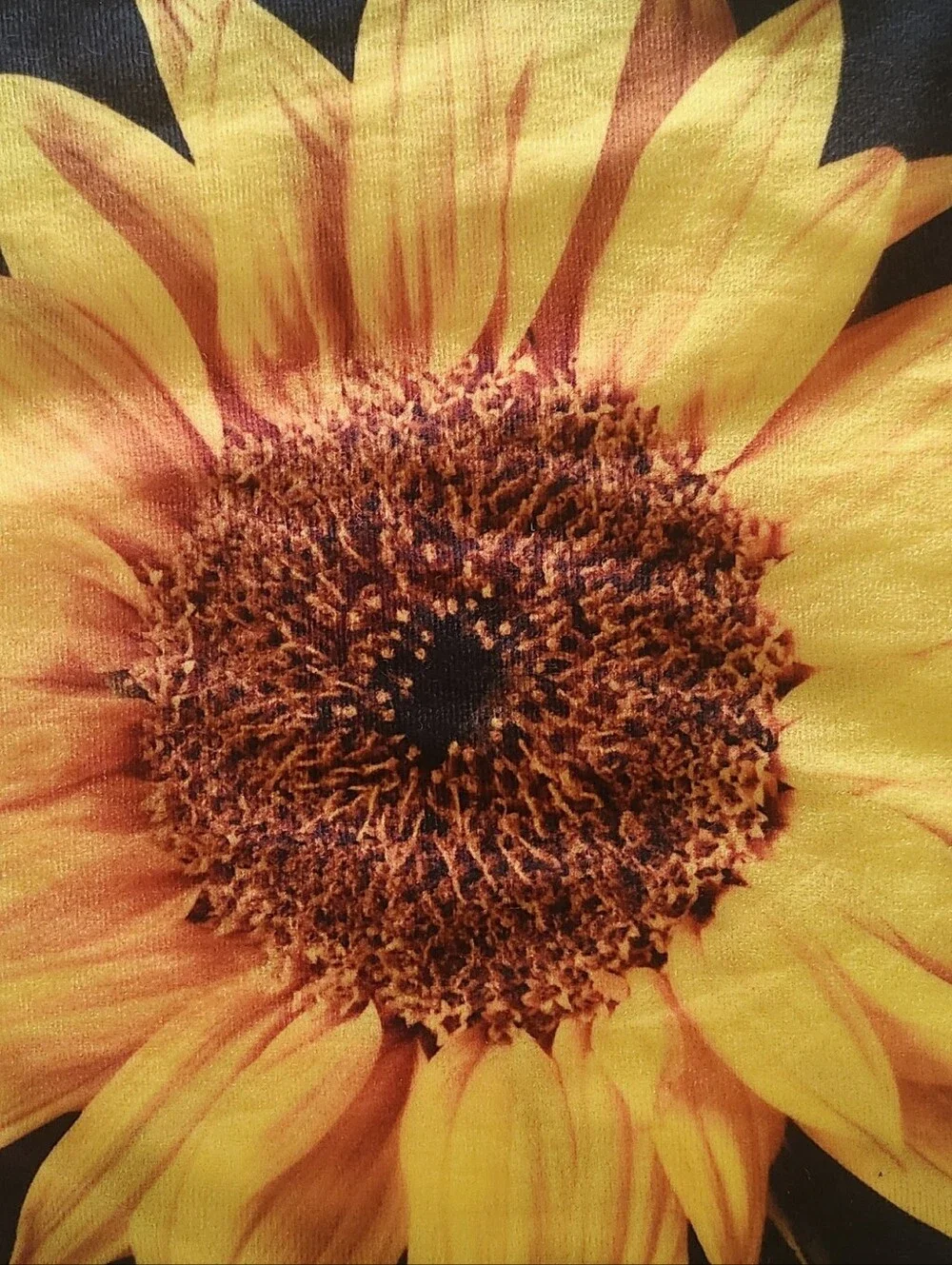 Black Pillow Cover W Yellow Sunflower, Zippered, Dbl Sided, 15.5